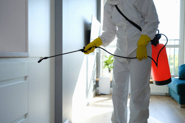 Best Affordable Mold Removal  in Baraga, MI