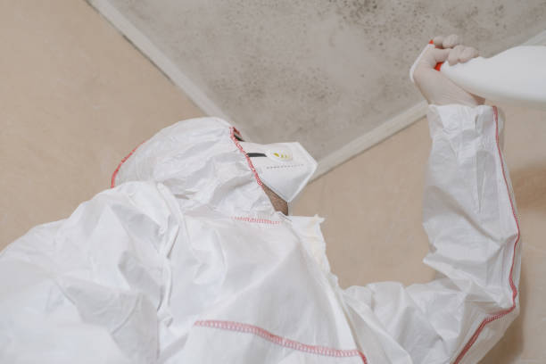 Best Mold Removal Near Me  in Baraga, MI