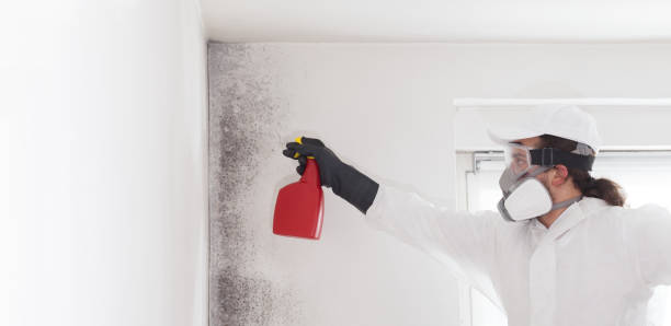 Best Professional Mold Removal  in Baraga, MI